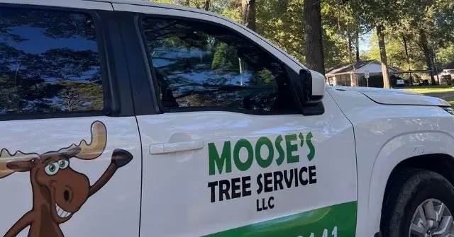 Tree Service Company Shreveport & Bossier City