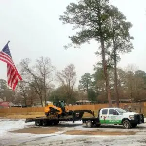 Why Trees Matter for Shreveport Properties