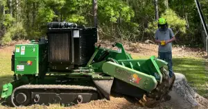 Professional Tree Service in Stonewall, LA – Expert Tree Care and Maintenance