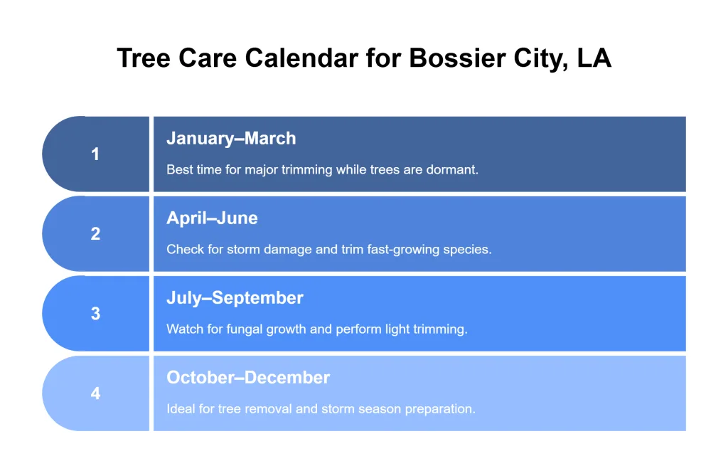 Tree Care Calendar for Bossier City, LA